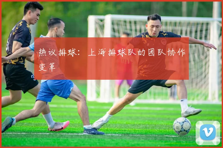 热议排球：上海排球队的团队协作变革