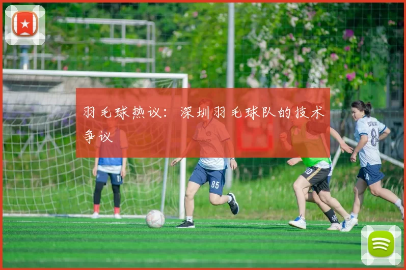 羽毛球热议：深圳羽毛球队的技术争议