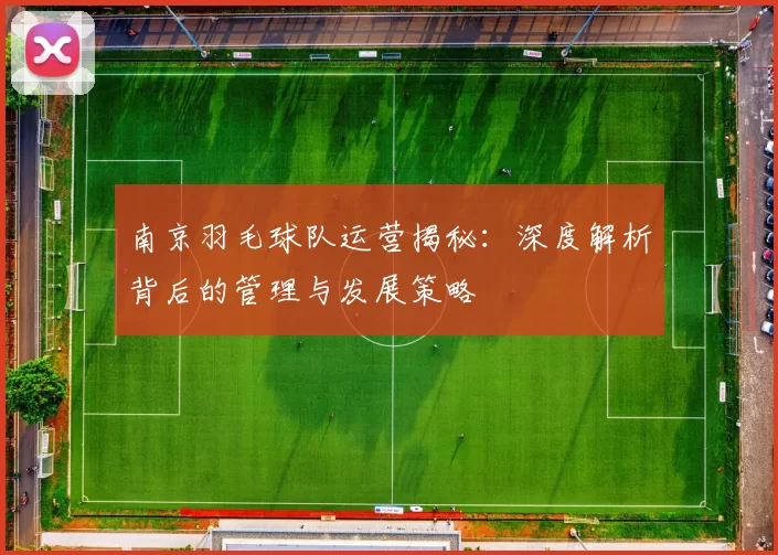 南京羽毛球队运营揭秘：深度解析背后的管理与发展策略