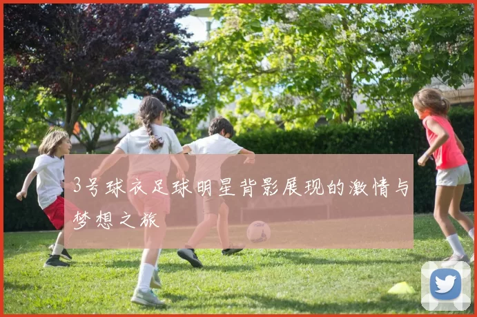 3号球衣足球明星背影展现的激情与梦想之旅
