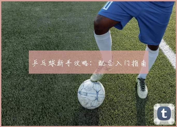 乒乓球新手攻略：配合入门指南