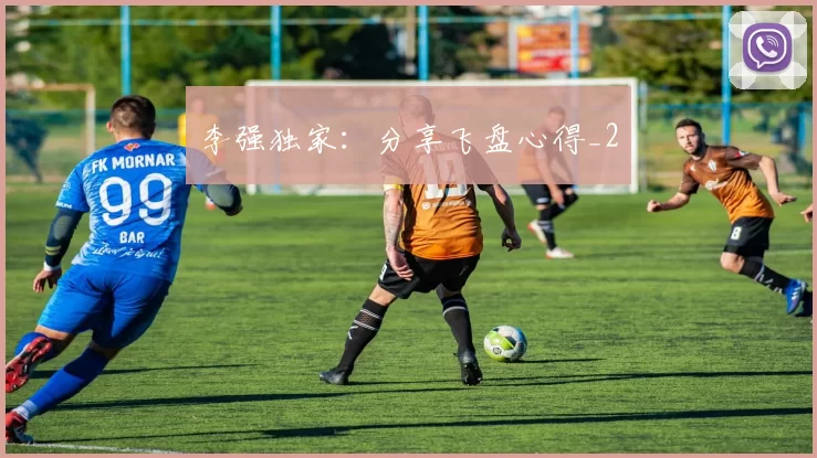 李强独家：分享飞盘心得_2