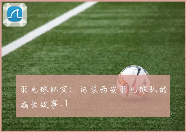 羽毛球纪实：记录西安羽毛球队的成长故事_1
