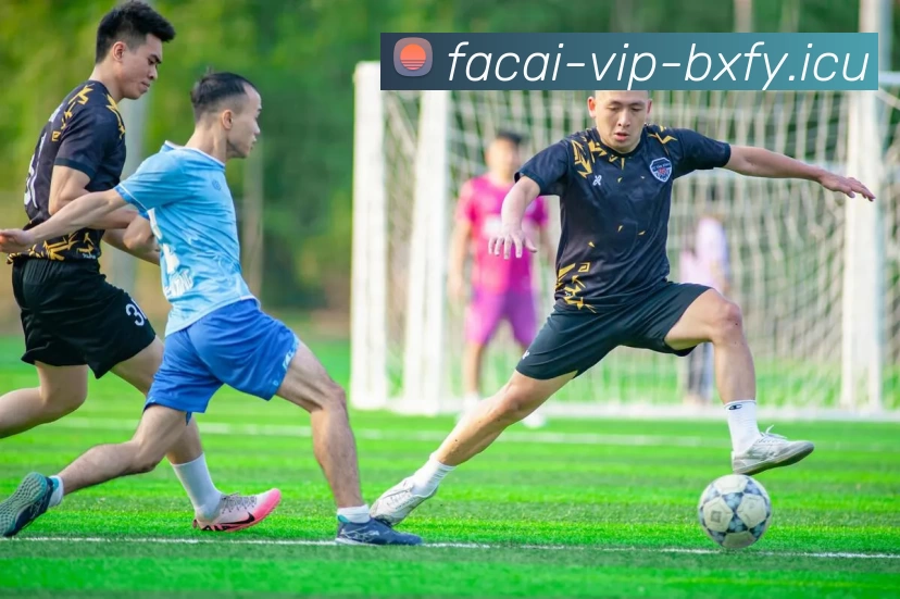 乐鱼体育服务体系