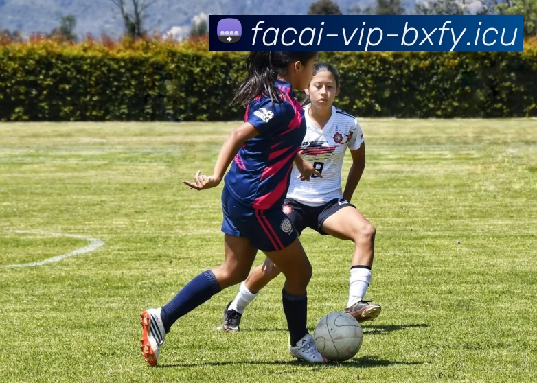 乐鱼体育APP 体育赛事宣传图